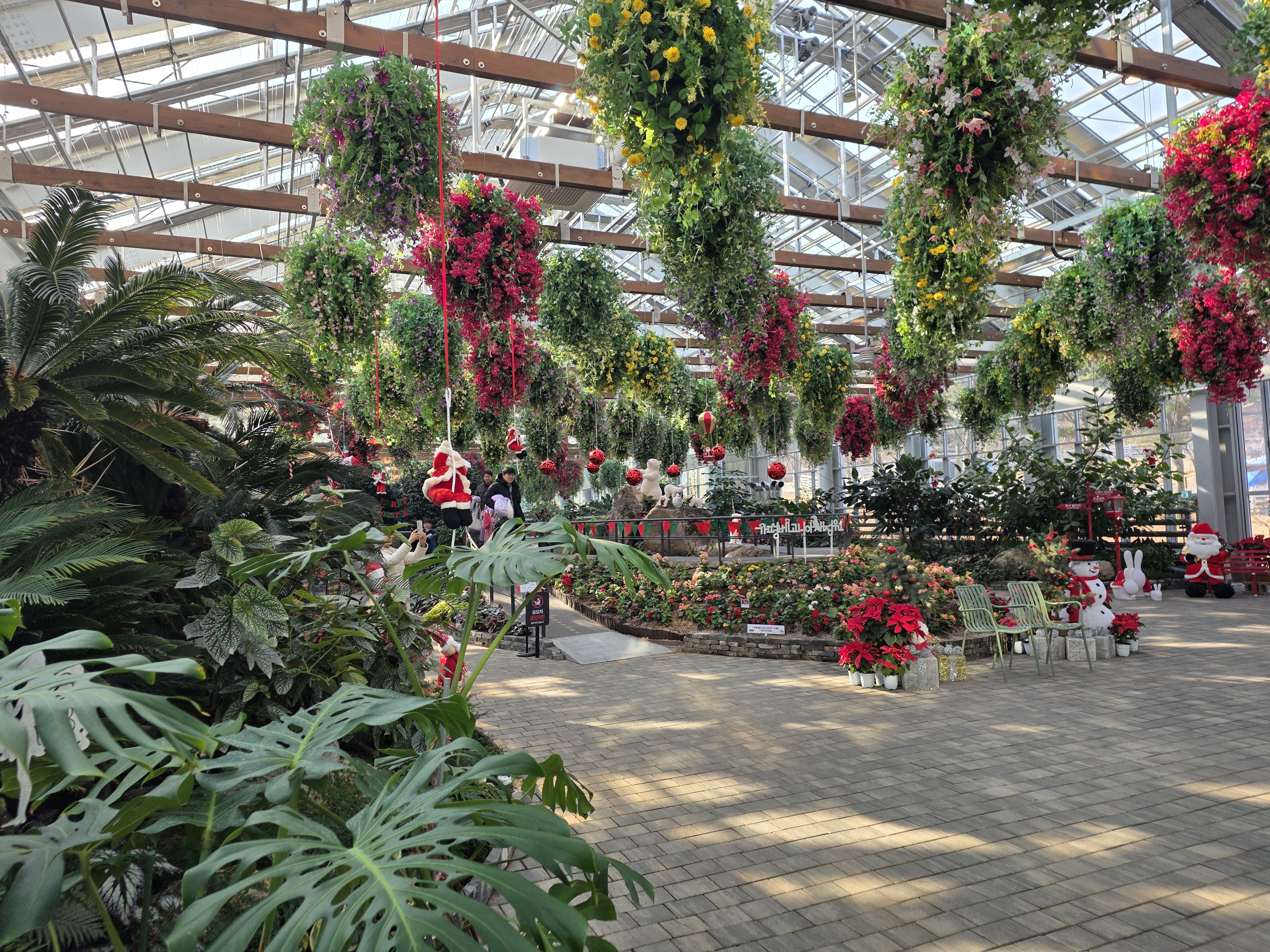 베고니아 정원 in 가평