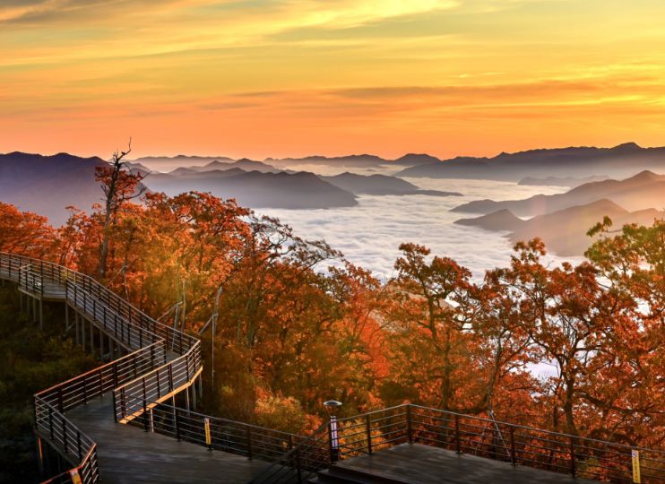 정선 가리왕산 케이블카