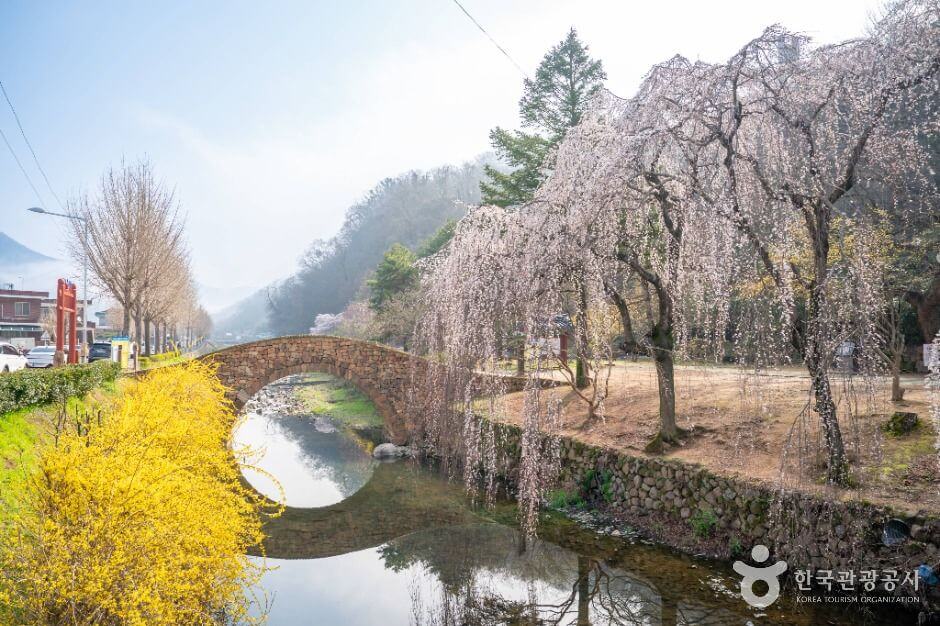 창녕 가볼만한곳 베스트 10