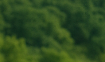 명절 전 벌초대행