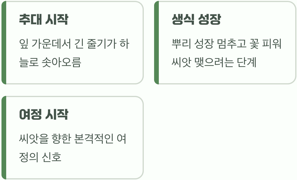 꽃대를 올리는 반가운 신호