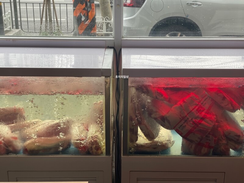 영통 맛집 3월 3일 본점 워터 에이징 고기 숙성고