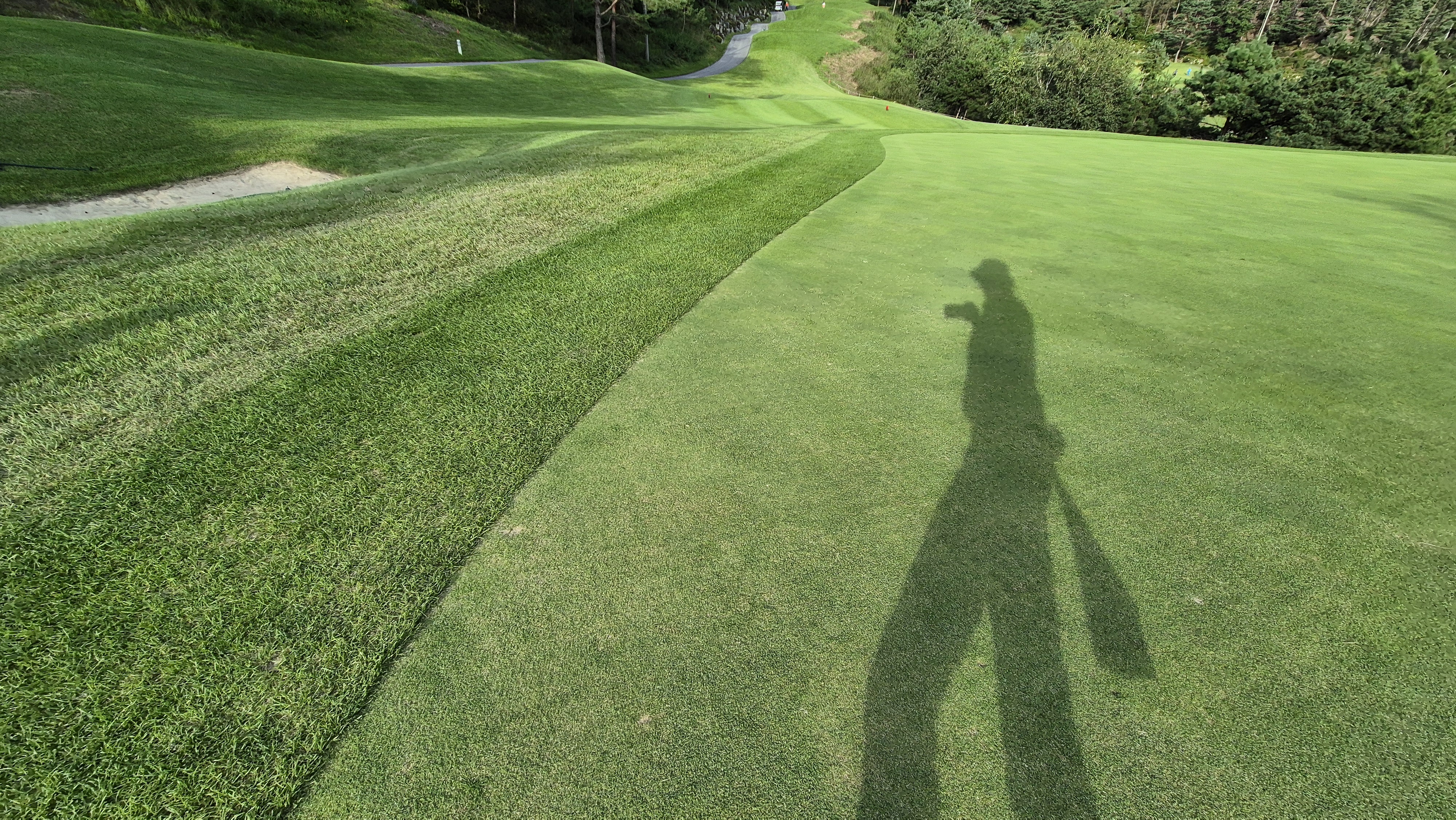 오크힐스cc 그린 관리 상태