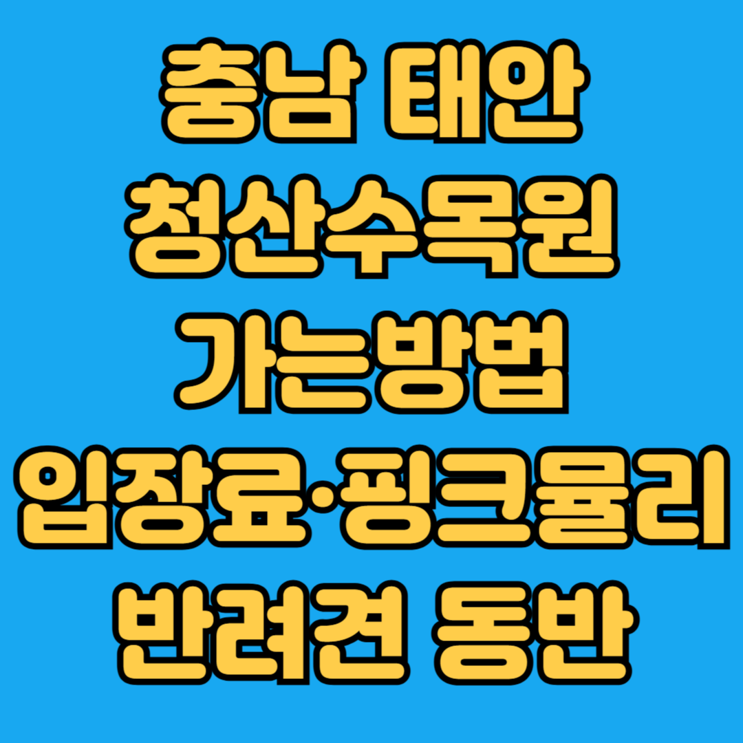 충남 태안 청산수목원 가는방법 입장료 핑크뮬리 반려견 동잔