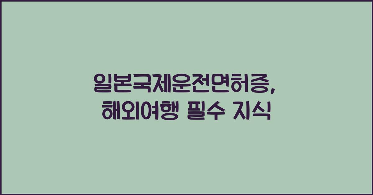 일본국제운전면허증