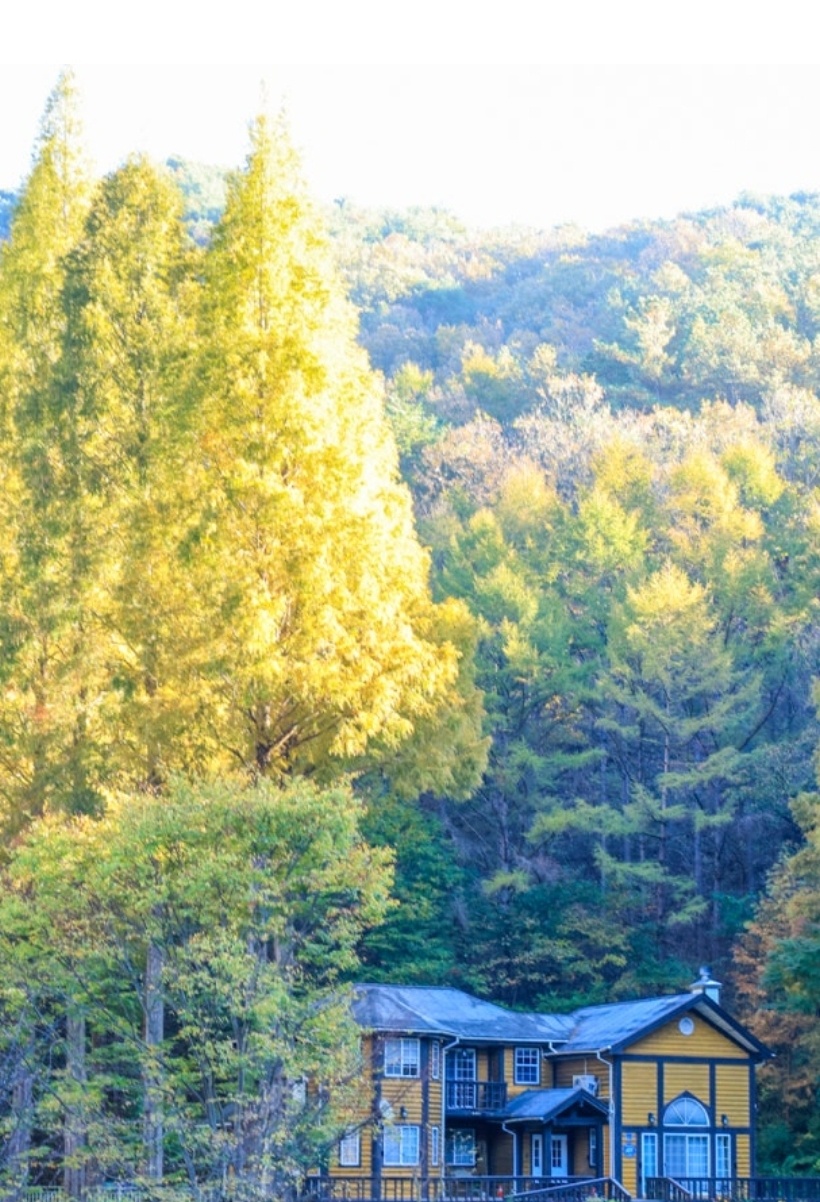 논산 온빛자연휴양림