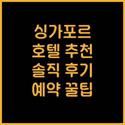 싱가포르 호텔 추천 여행객이 극찬한 ..