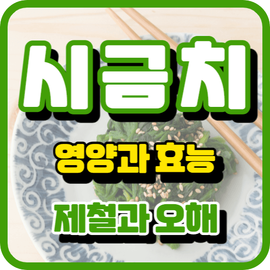 시금치의 영양 등에 대한 내용의 포스팅임을 알려주는 썸네일