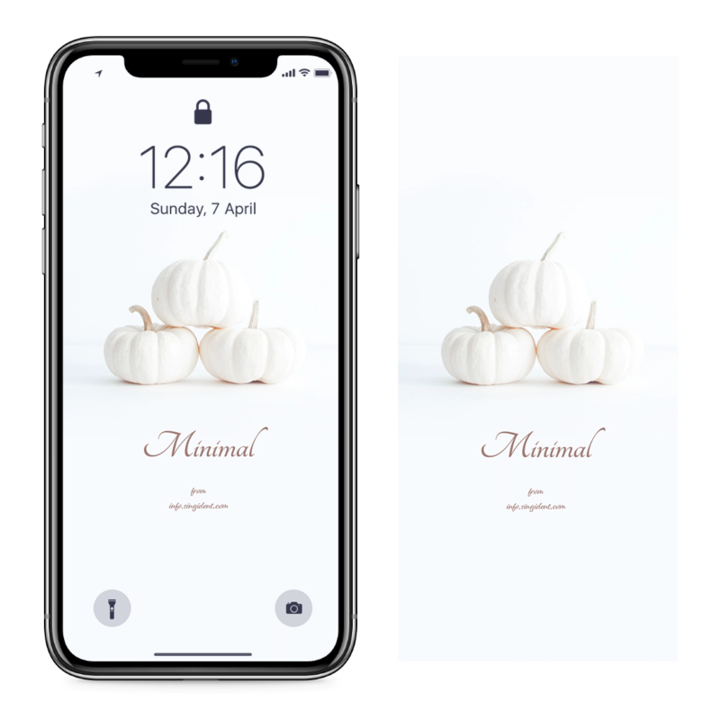 04 하얀색 호박 C - Minimal 아이폰흰색배경화면