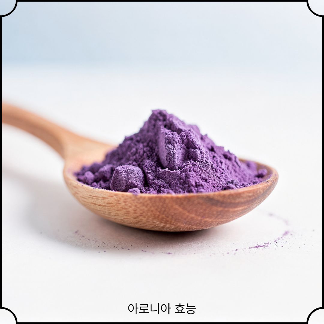 아로니아 효능