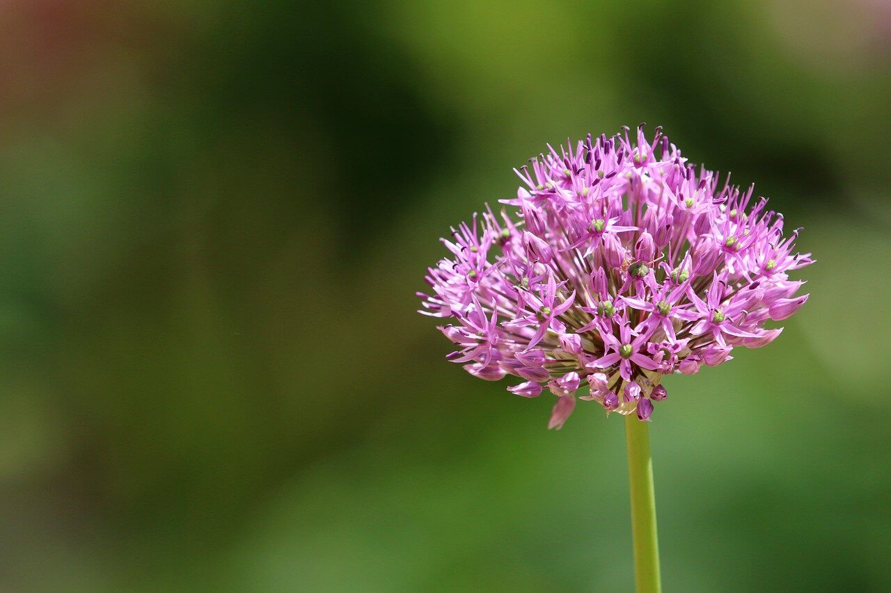 제주 서귀포 맛집 현지인 추천