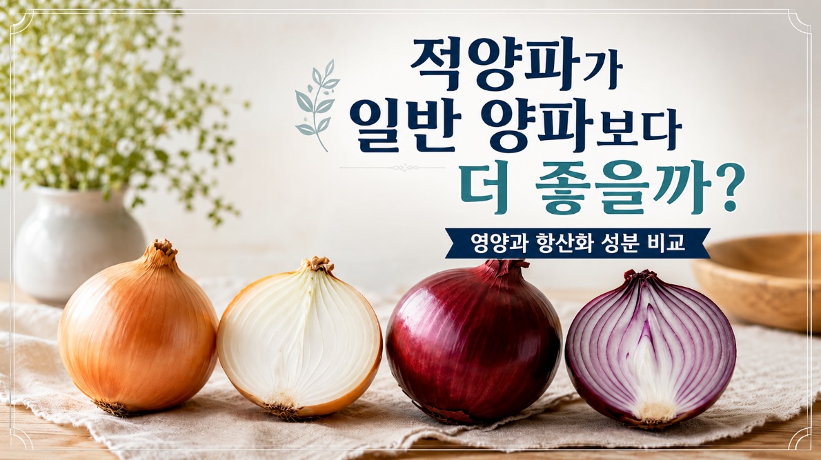 일반 양파와 적양파의 색과 단면 비교