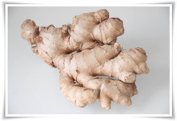 &quot;10월 하순, 생강 수확 하세요!&quot; 생강의 매력과 건강 효능, 최적의 수확시기! 생강의 효능과 활용!