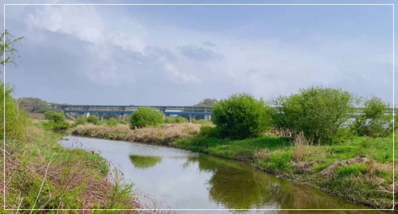 충주 가볼만한곳 베스트10 목계나루 솔밭공원