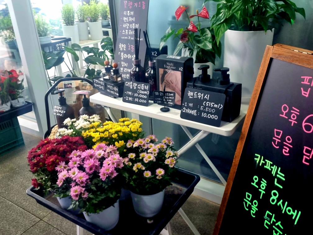 팔방미인 파주 문지리 535 카페 매력 포인트: 드넓은 논밭 뷰와 초록을 담은 실내 식물원