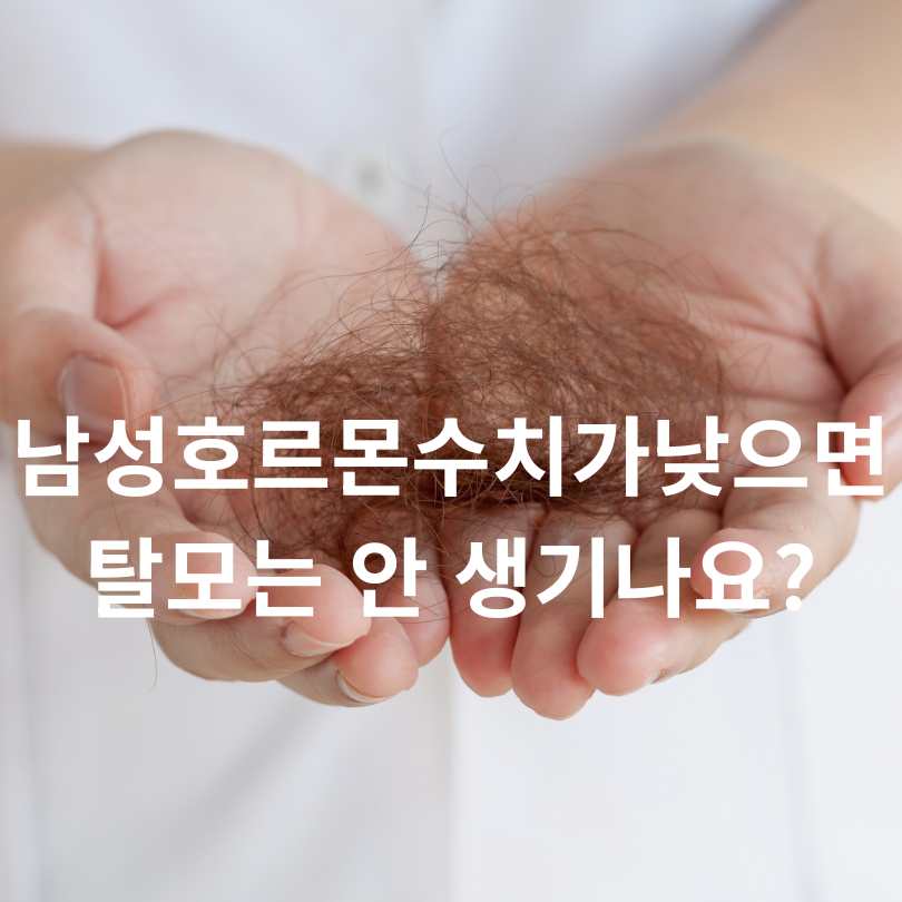 나이별 남성호르몬 수치 변화와 탈모의 연관성