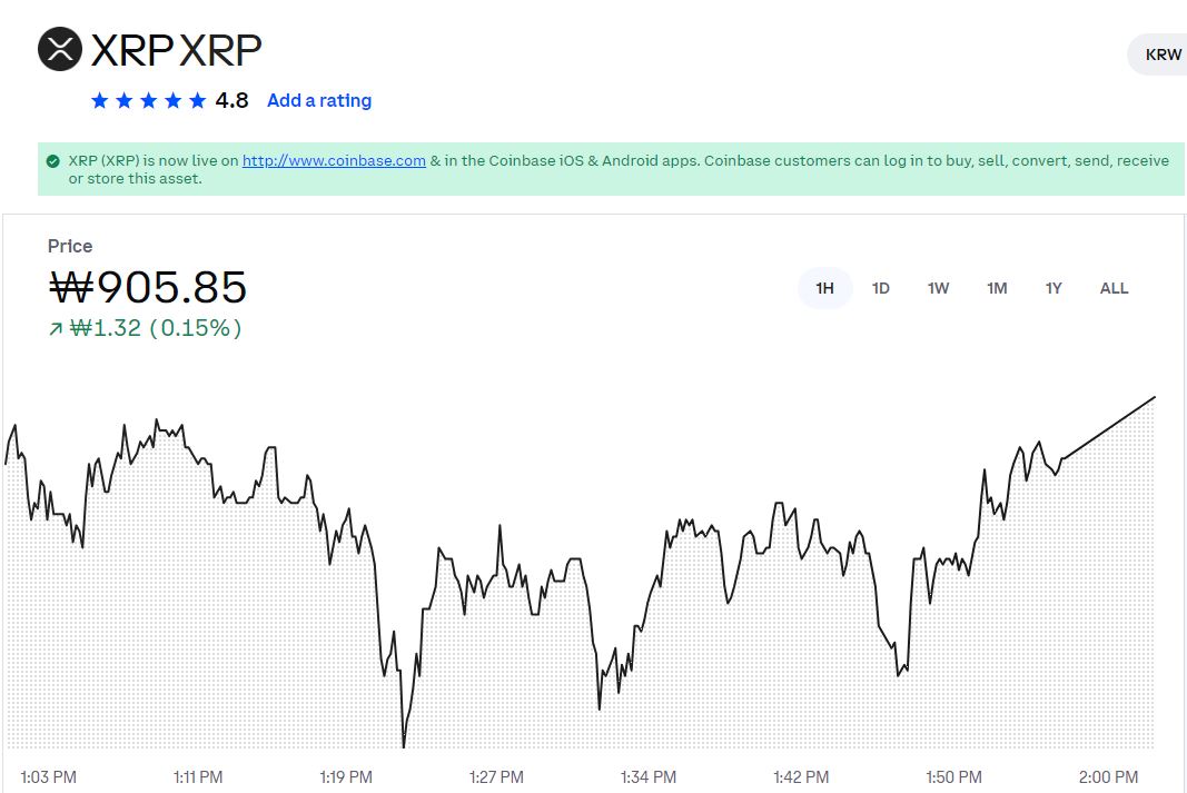 리플의 현재 가치