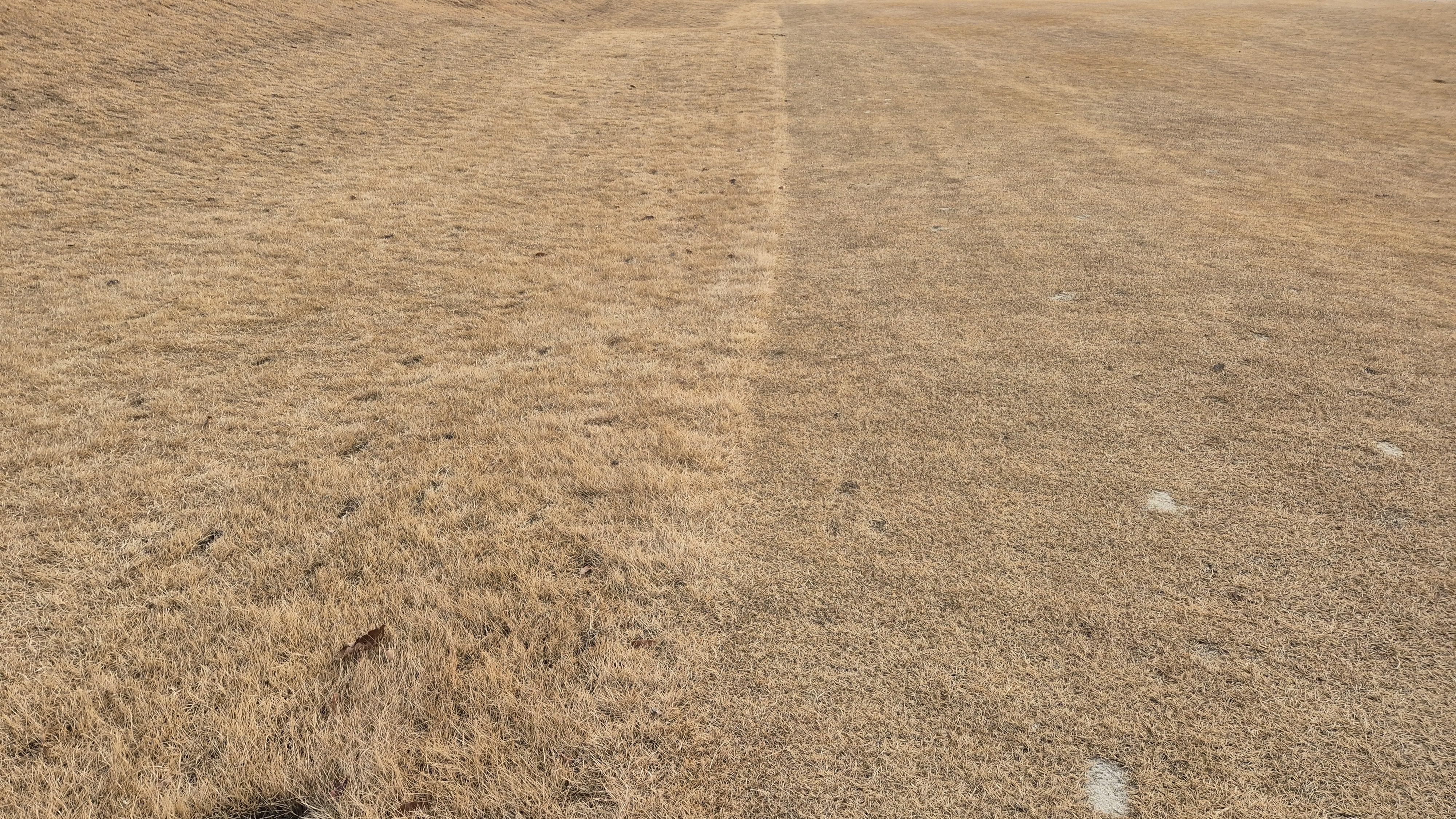 모나크cc 라운드 후기 코스관리상태