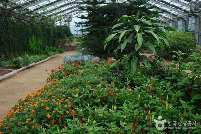 세계꽃식물원