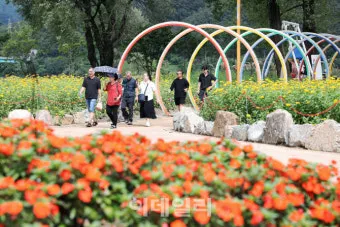 자라섬 꽃 페스타 2025 행사일정 관람 포인트 완전 정리_13