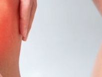 관절에좋은음식