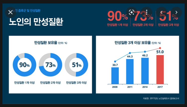 노인의 만성질환