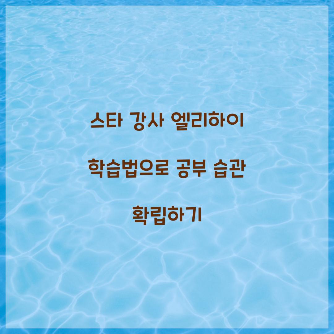 스타 강사 엘리하이 학습법