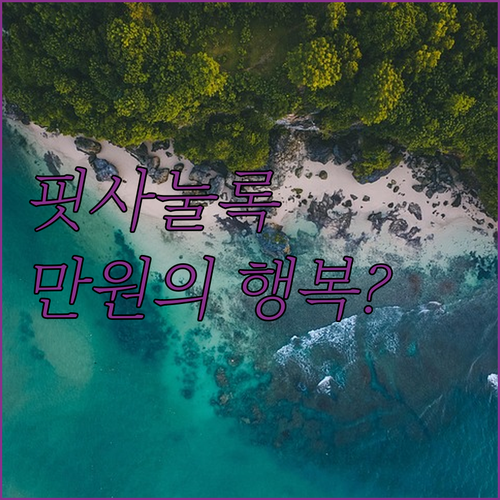 1만원대 초저가부터 럭셔리 수영장까지..