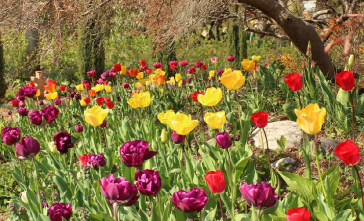 팜카밀레 허브농원