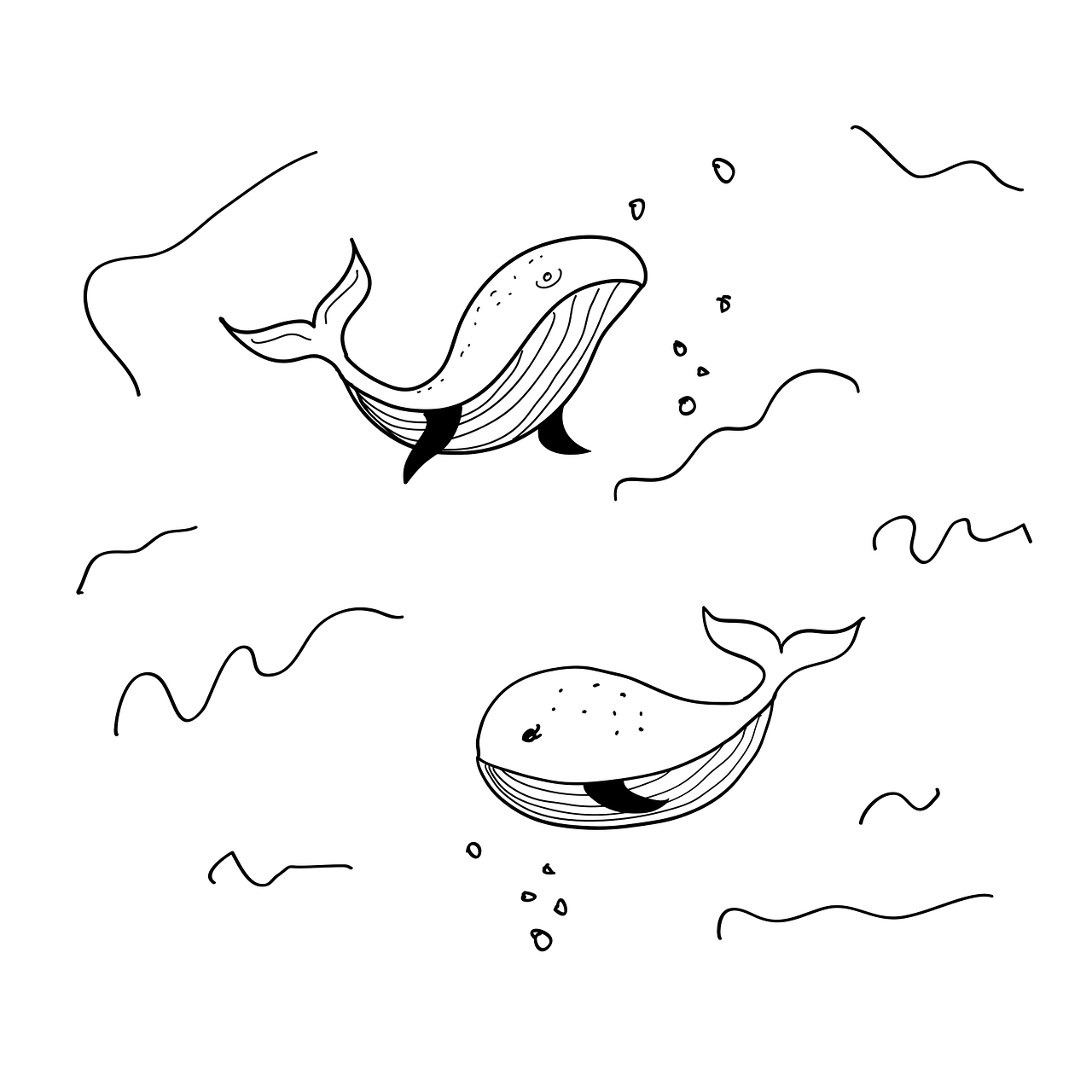 메리츠 치아보험