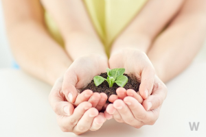 사업지원 패키지 4