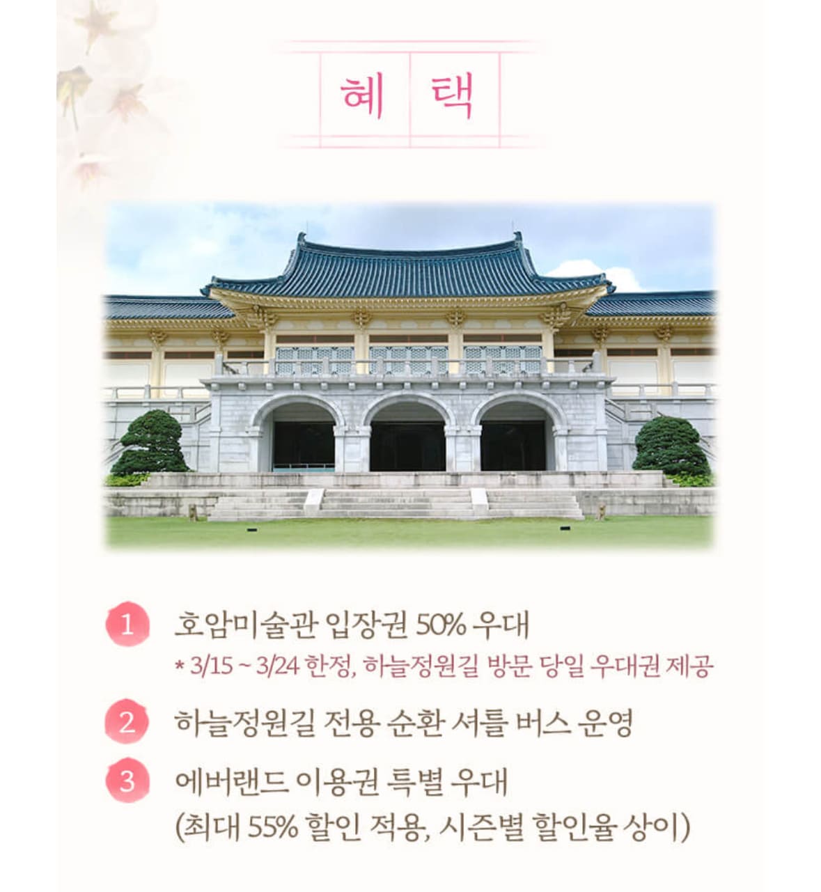 에버랜드 하늘정원길 매화 명소 입장권 구매 이용 주차 방법