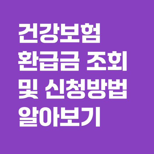 건강보험 환급금 조회