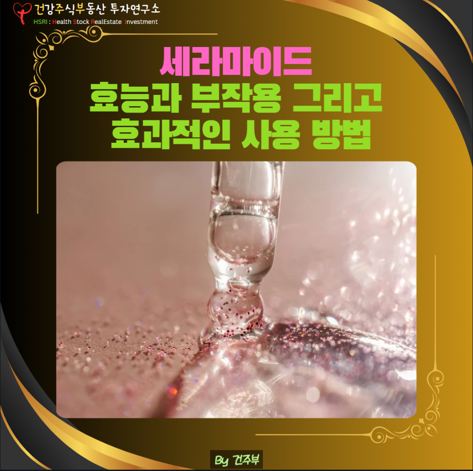 세라마이드 효능과 부작용 효과적인 사용 방법 (글 그림 : 건주부, 그림 출처 : Canva)