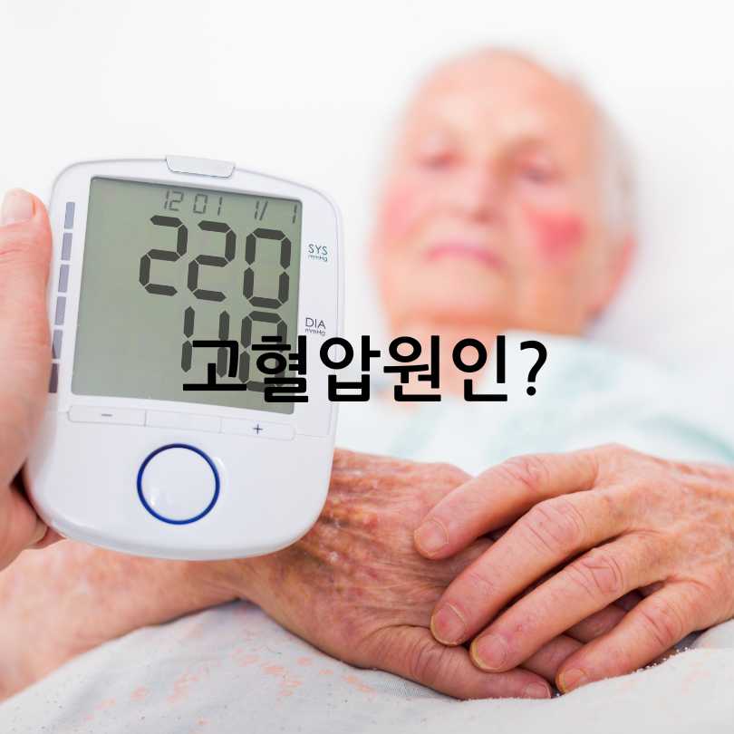 혈관건강관리