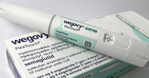 위고비 가격 효과 사용법 총정리 : 다이어트의 새로운 기준