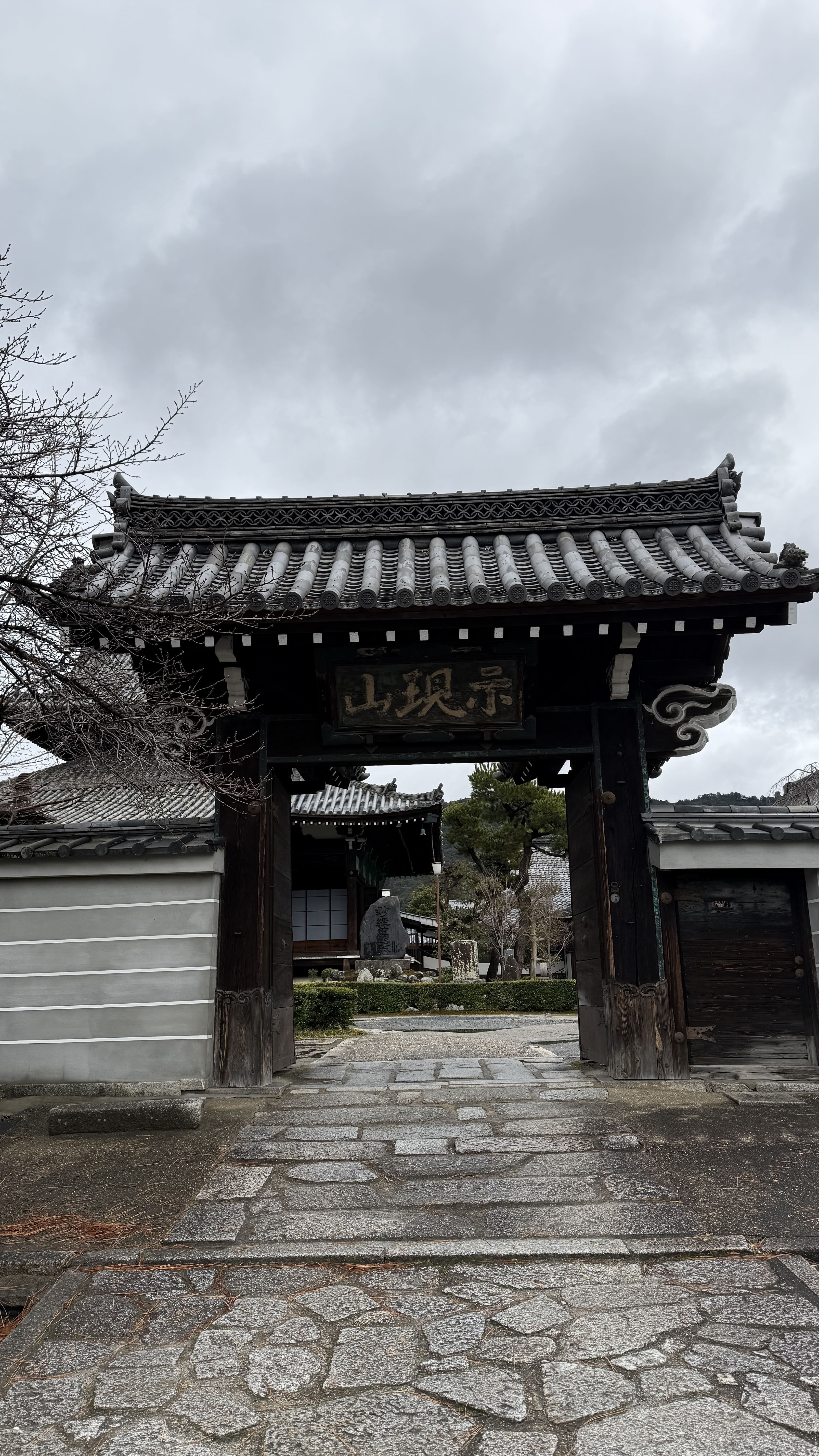 교토-꼭-가봐야-할-곳- 에이칸도-젠린지-ZENRIN-JI-벚꽃 여행