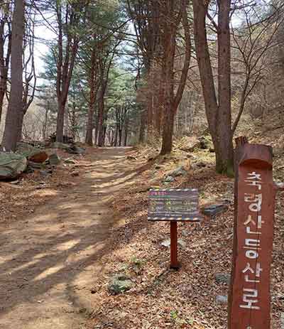 축령산 등산로