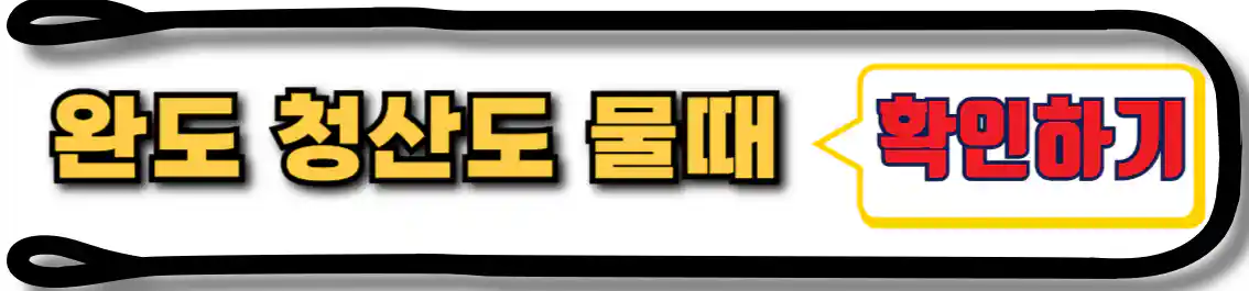 청산도 물때표