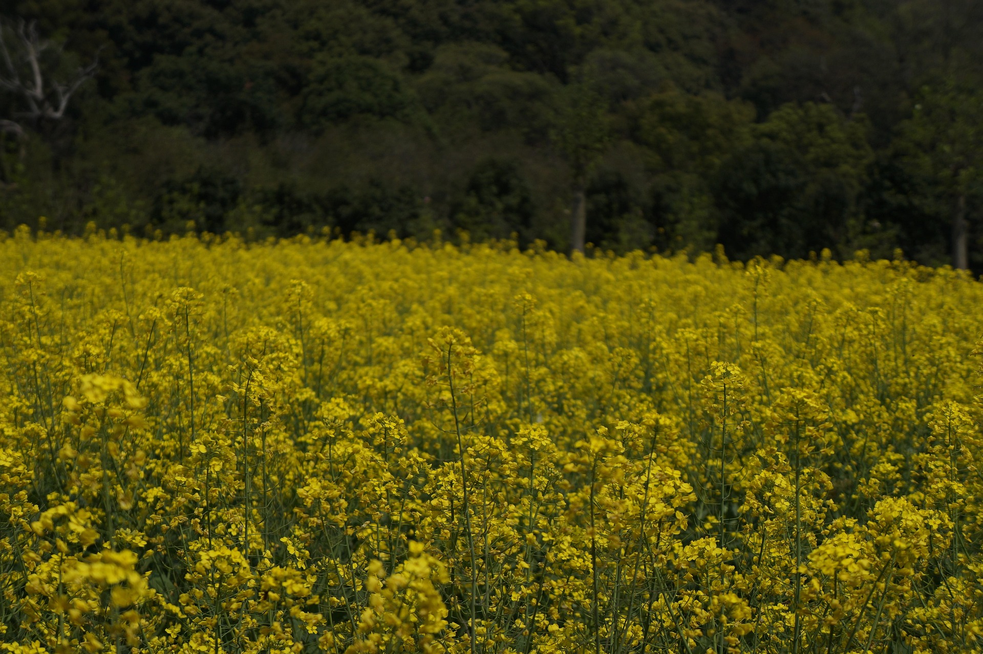 고향사랑기부제 추천하는 답례품 소개 및 수령 방법과 혜택 알아보기
