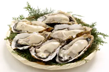 통영 생굴 1KG 가격&amp;#44; 굴 효능 및 영양소