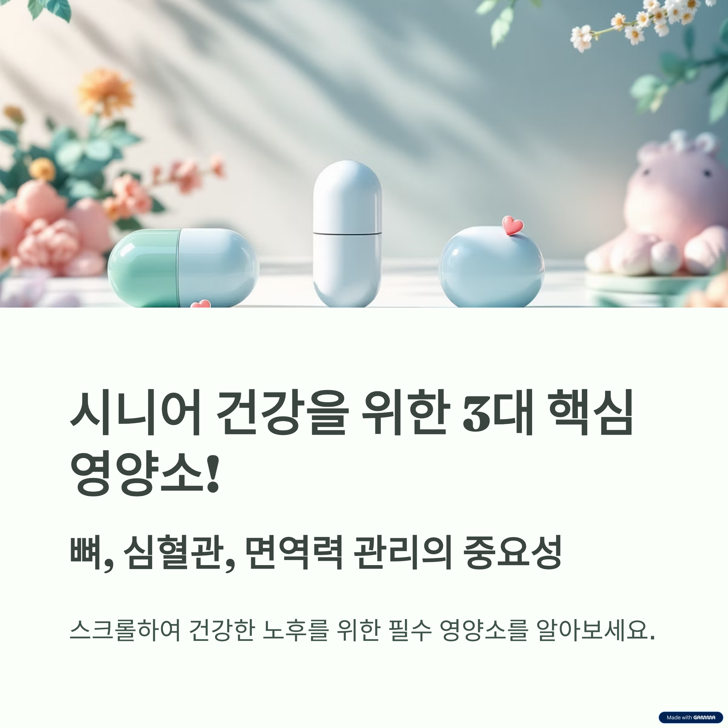 시니어 건강식품