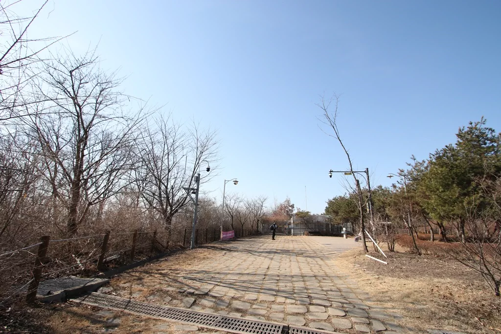 심학산 둘레길 초입 사진입니다.