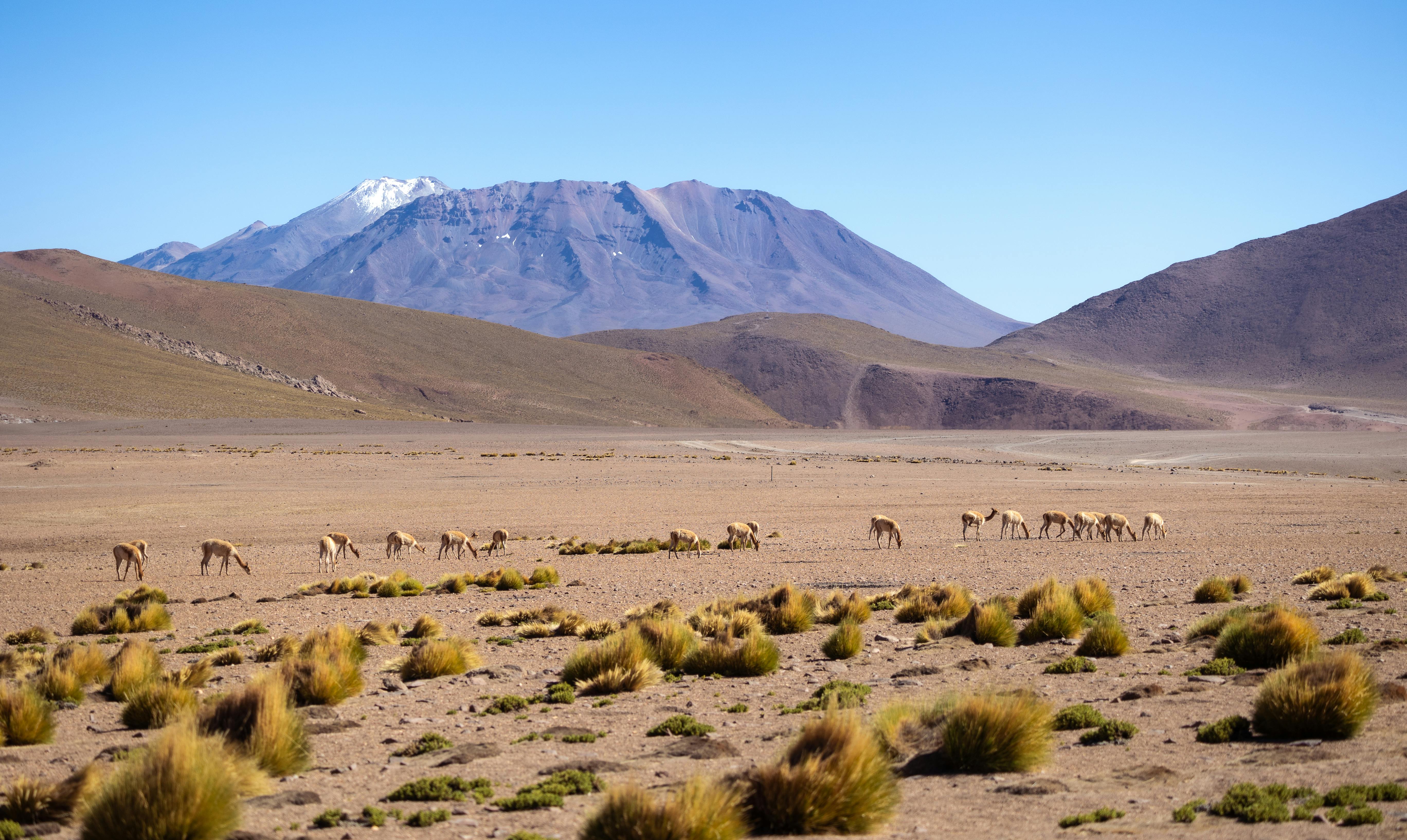지구마블 세계여행3 칠레 여행 모아이 석상 지구 관통설