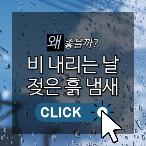 왜 좋을까? 비내리는 날 젖은 흙냄새 썸네일