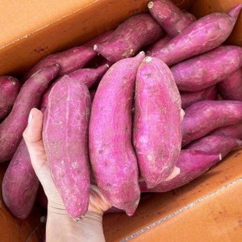 고구마-효능-12가지