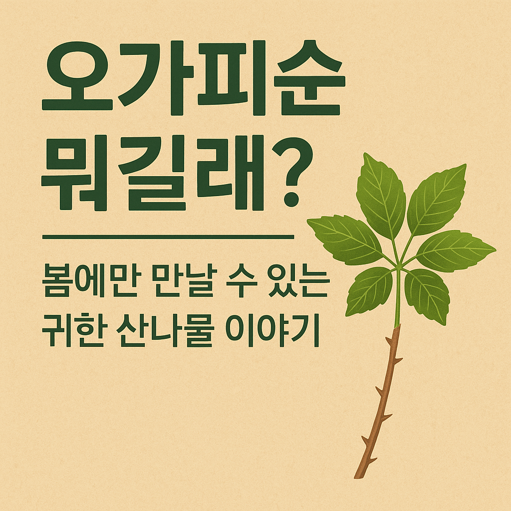 오가피순