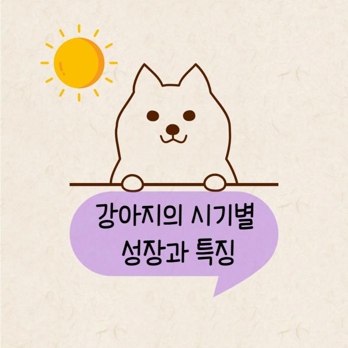 강아지의 시기별 성장과 특징