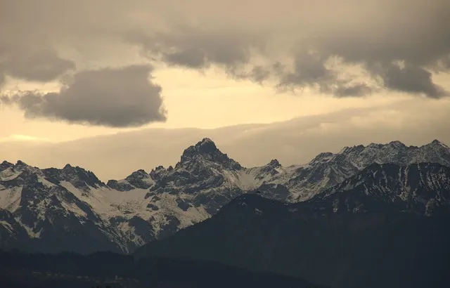 준비물 없이 할 수 있는 실내 레크리에이션 게임 추천 벨런스게임_6