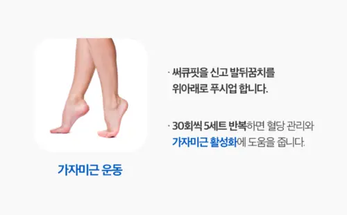 피트컷 써큐핏 내돈내산 후기 효과 부작용 가격 사용법